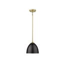 Golden Lighting 6956-S-BLK Zoey Small Pendant in Matte Black Shade - Crescent Harbor