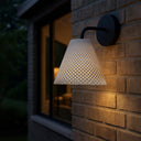 Golden Lighting Clarus 2419-OWL 1 Light Wall Sconce - Outdoor 3