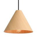Golden Lighting Conique 3988-10 1 Light Mini Pendant 1