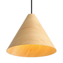 Golden Lighting Conique 3988-13 1 Light Pendant 1