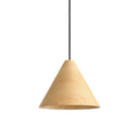 Golden Lighting Conique 3988-13 1 Light Pendant 3