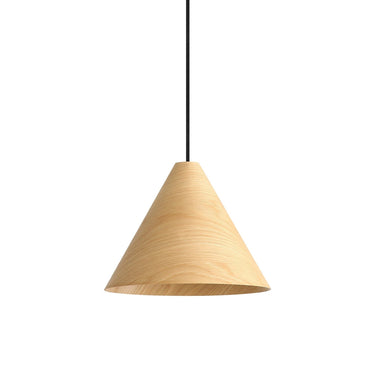 Golden Lighting Conique 3988-13 1 Light Pendant 3