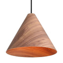 Golden Lighting Conique 3988-13 1 Light Pendant
