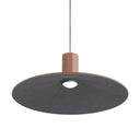 Golden Lighting Faroe 3133-P20 1 Light LED Pendant 2