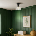 Golden Lighting Hines 3118-SF 1 Light Semi-flush 5