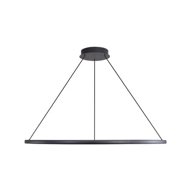 Golden Lighting Veritas 5460-71 1 Light LED Ring Chandelier 2