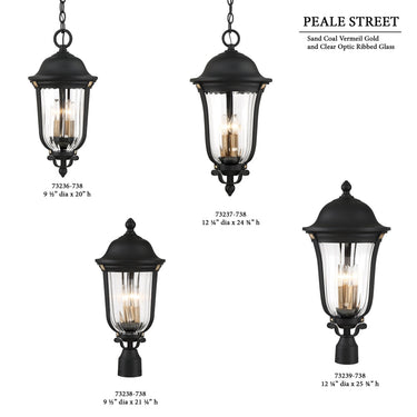 Great Outdoors 73237-738 Peale Street - 4 Light Hanging in Sand Coal And Vermeil Gold 2