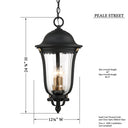 Great Outdoors 73237-738 Peale Street - 4 Light Hanging in Sand Coal And Vermeil Gold 1