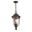 Great Outdoors Havenwood 4 Light Outdoor Chain Hung - 73247-748 1