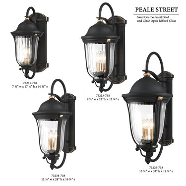 Great Outdoors Peale Street 3 Light Outdoor Wall Mount - 73233-738 4