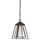 Great Outdoors Sleepy Hollow 1 Light Chain Hung - 73114-226 