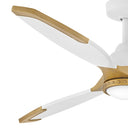 Hinkley Aileron 60" LED Smart Fan Alternate Image-13