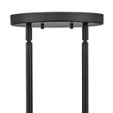 Hinkley Alchemy Large Single Tier Chandelier Alternative Image 2