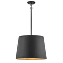 Hinkley Alder Outdoor Large Hanging Pendant 