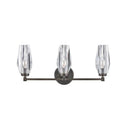 Hinkley Ana Medium Three Light Vanity Wall Sconce in Black Oxide Finish 