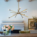 Hinkley Archer Large Adjustable Single Tier Chandelier Alternative Image 17