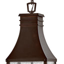 Hinkley Beacon Hill Alternative Image 9" Outdoor Large Hanging Lantern Alternative Image 1