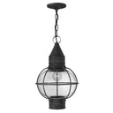 Hinkley Cape Cod Alternative Image 11" Outdoor Medium Hanging Lantern Alternative Image 4