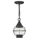 Hinkley Cape Cod Outdoor Extra Small Convertible Flush Mount Alternative Image 8