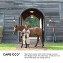 Hinkley Cape Cod Outdoor Extra Small Convertible Flush Mount Alternative Image 10