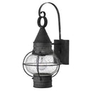Hinkley Cape Cod Outdoor Medium Wall Mount Lantern - 2200DZ 