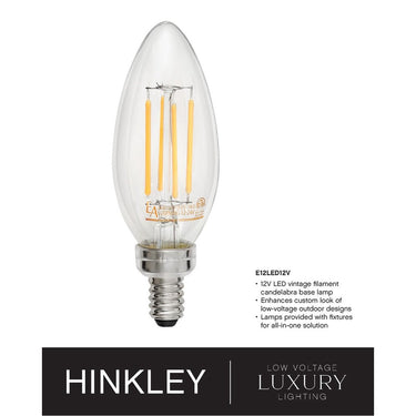 Hinkley Carson Outdoor Medium Orb Alternative Image 12v Chandelier LED Alternative Image 2