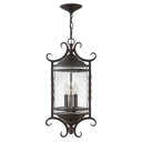 Hinkley Casa 12" Outdoor Large Hanging Lantern 