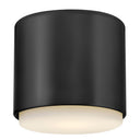 Hinkley Cedric Extra Small Flush Mount - HL30070 