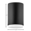 Hinkley Cedric Extra Small Flush Mount - HL30071 Alternative Image 1