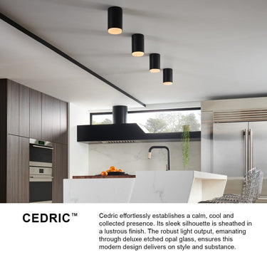 Hinkley Cedric Extra Small Flush Mount - HL30071 Alternative Image 7