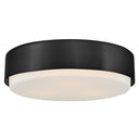 Hinkley Cedric Medium Flush Mount 