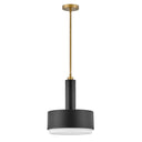 Hinkley Cedric Medium Pendant 