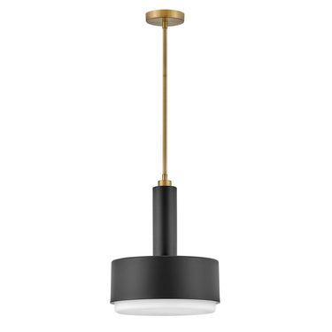 Hinkley Cedric Medium Pendant 