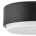 Hinkley Cedric Small Flush Mount Alternative Image 1