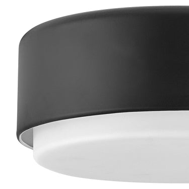 Hinkley Cedric Small Flush Mount Alternative Image 1