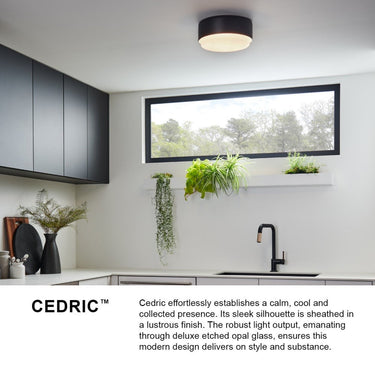 Hinkley Cedric Small Flush Mount Alternative Image 7