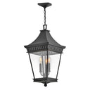 Hinkley Chapel Hill Alternative Image 12.5" Outdoor Large Hanging Lantern Alternative Image 3