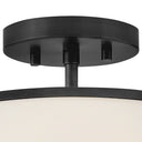 Hinkley Clarke Medium Semi-Flush Mount Alternative Image 5
