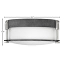 Hinkley Colbin Small Flush Mount Alternative Image 1