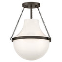 Hinkley Collins Medium Semi Flush Mount - HL46891 Alternative Image 9