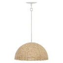 Hinkley Dalia Large Convertible Pendant Alternative Image 13