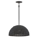 Hinkley Dalia Large Convertible Pendant 