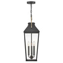 Hinkley Dawson Alternative Image 9" Outdoor Large Hanging Lantern Alternative Image 2