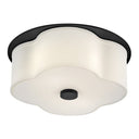 Hinkley Delaney Medium Flush Mount - HL46441 Alternative Image 4