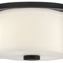 Hinkley Delaney Medium Flush Mount - HL46441 Alternative Image 6