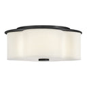 Hinkley Delaney Medium Flush Mount - HL46443 Alternative Image 2