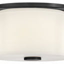Hinkley Delaney Medium Flush Mount - HL46443 Alternative Image 5