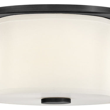 Hinkley Delaney Medium Flush Mount - HL46443 Alternative Image 5