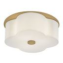 Hinkley Delaney Medium Flush Mount - HL46443 Alternative Image 9