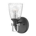 Hinkley Easton Medium Single Light Vanity Wall Sconce Alternative Image 10